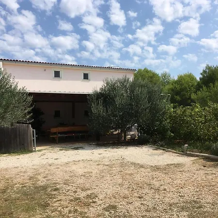 Apartment Pranic Vir